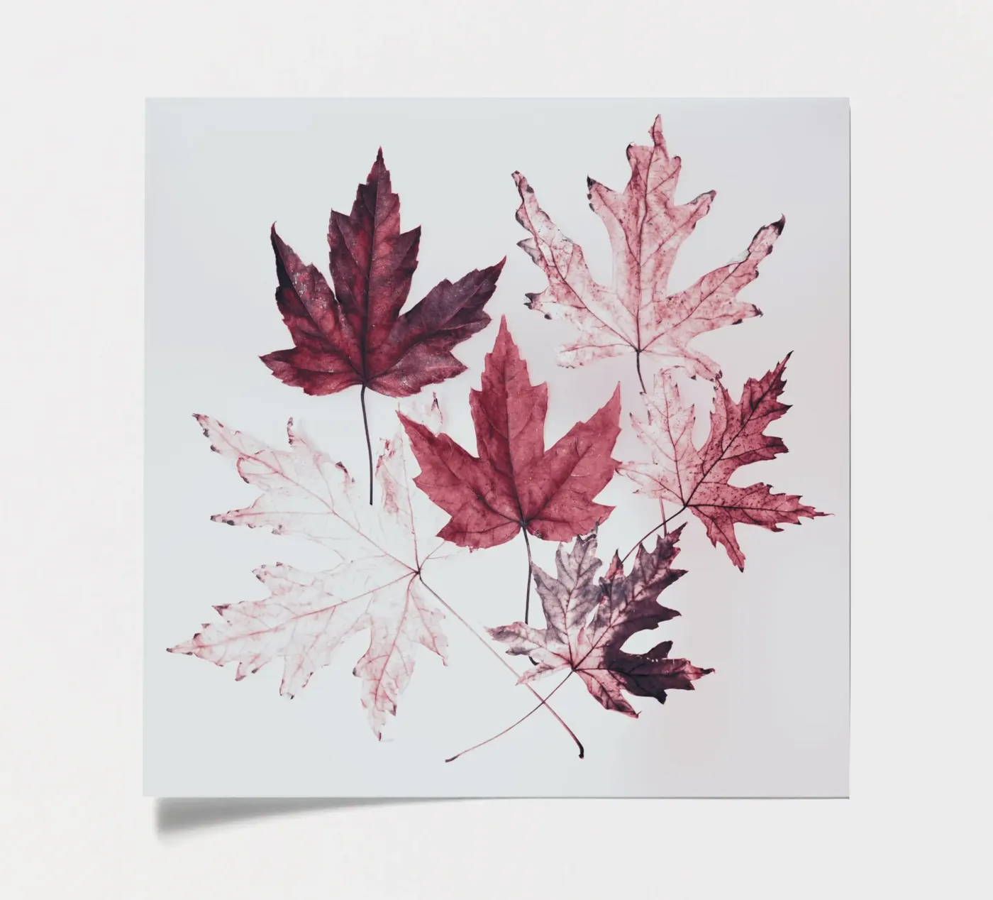 Leaves red maple sticker sheet by Teresa André