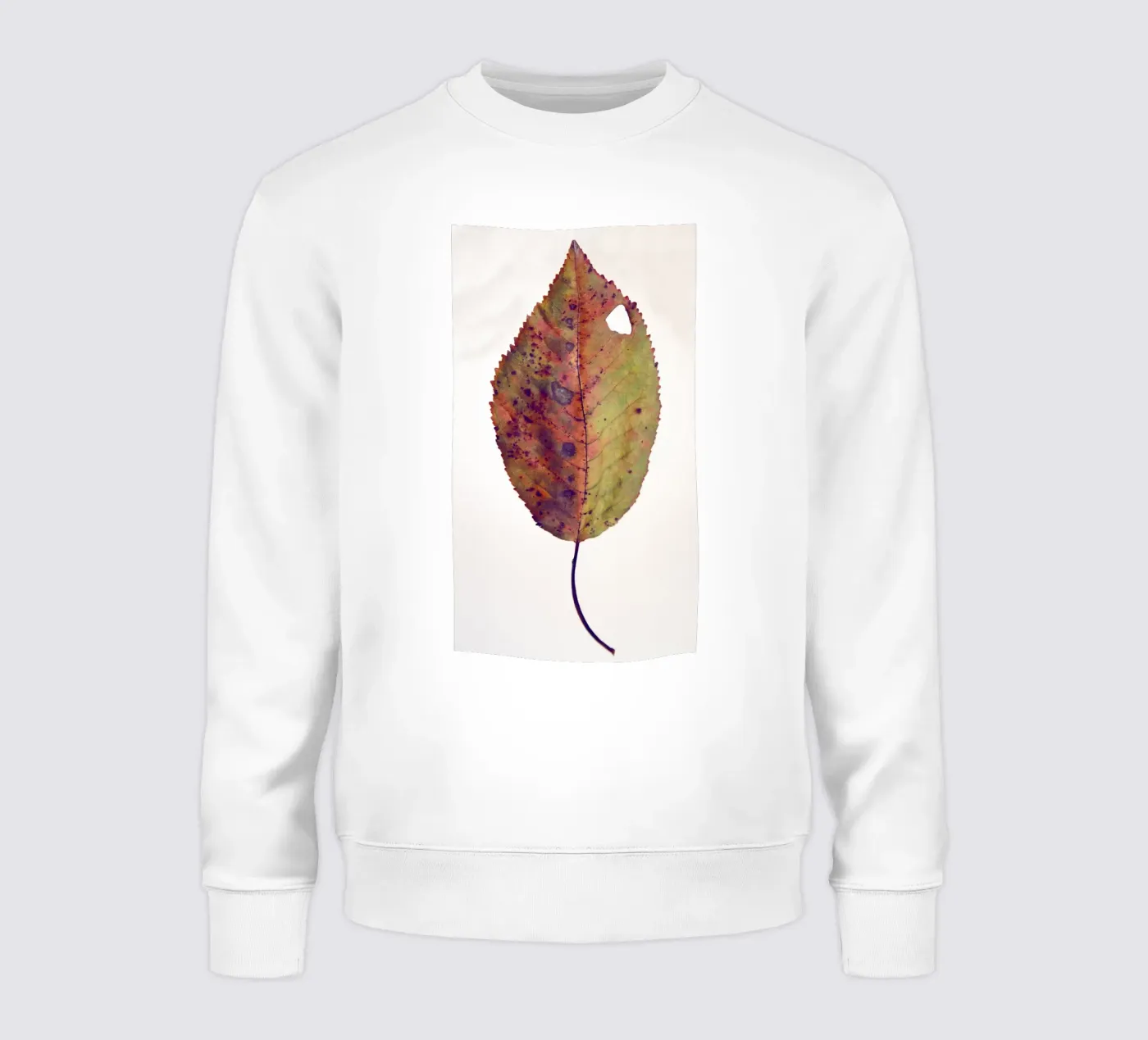 Cherry leaf sweatshirt by Teresa André