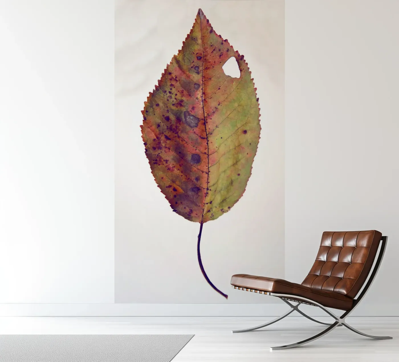 Cherry leaf Fototapete von Teresa André