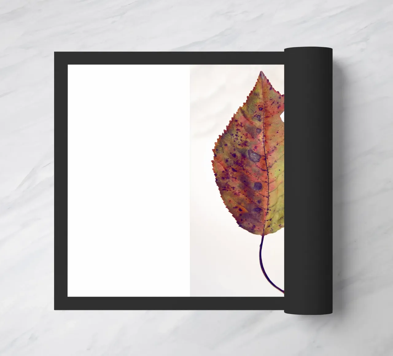 Foglia di ciliegio zerbino da Teresa André