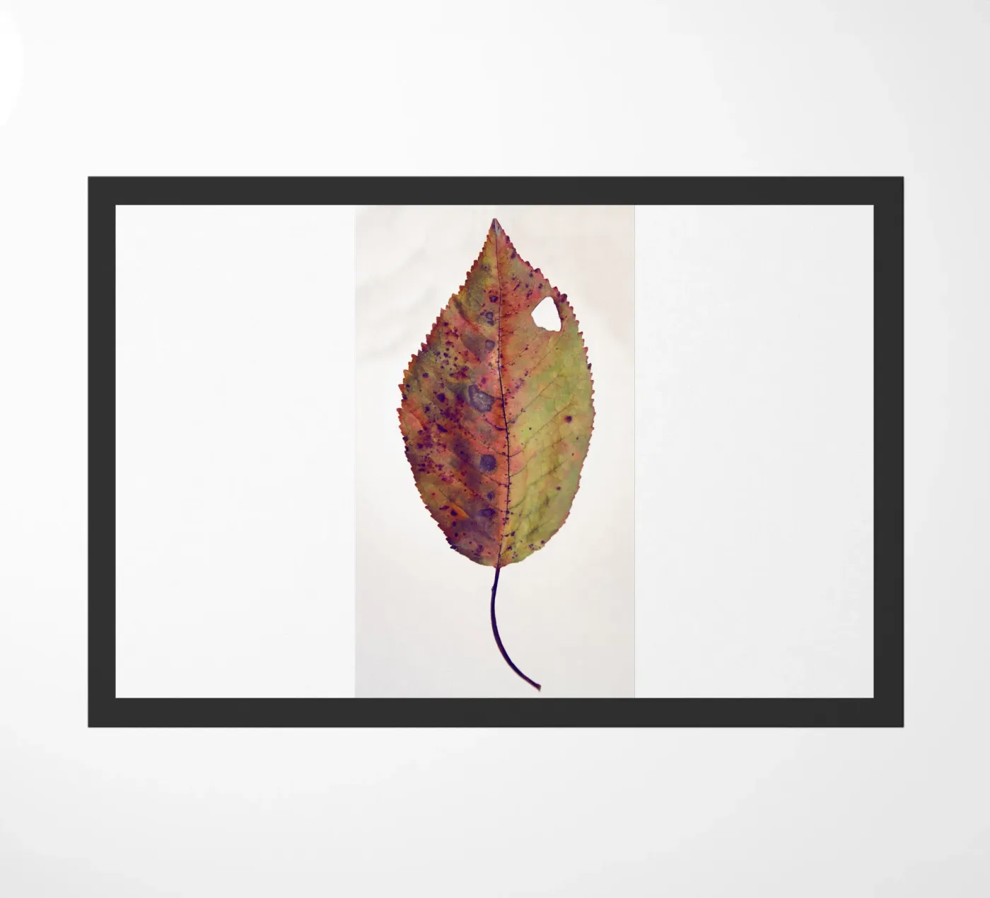 Feuille de cerisier paillasson de Teresa André