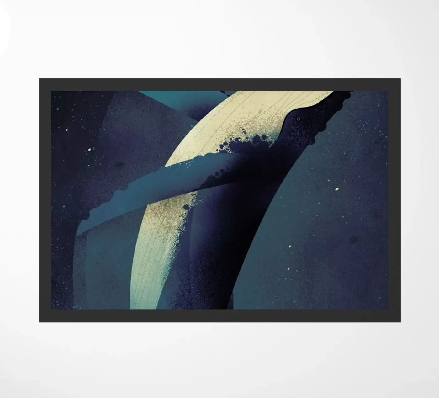 Humpback Whale zerbino da Dieter Braun