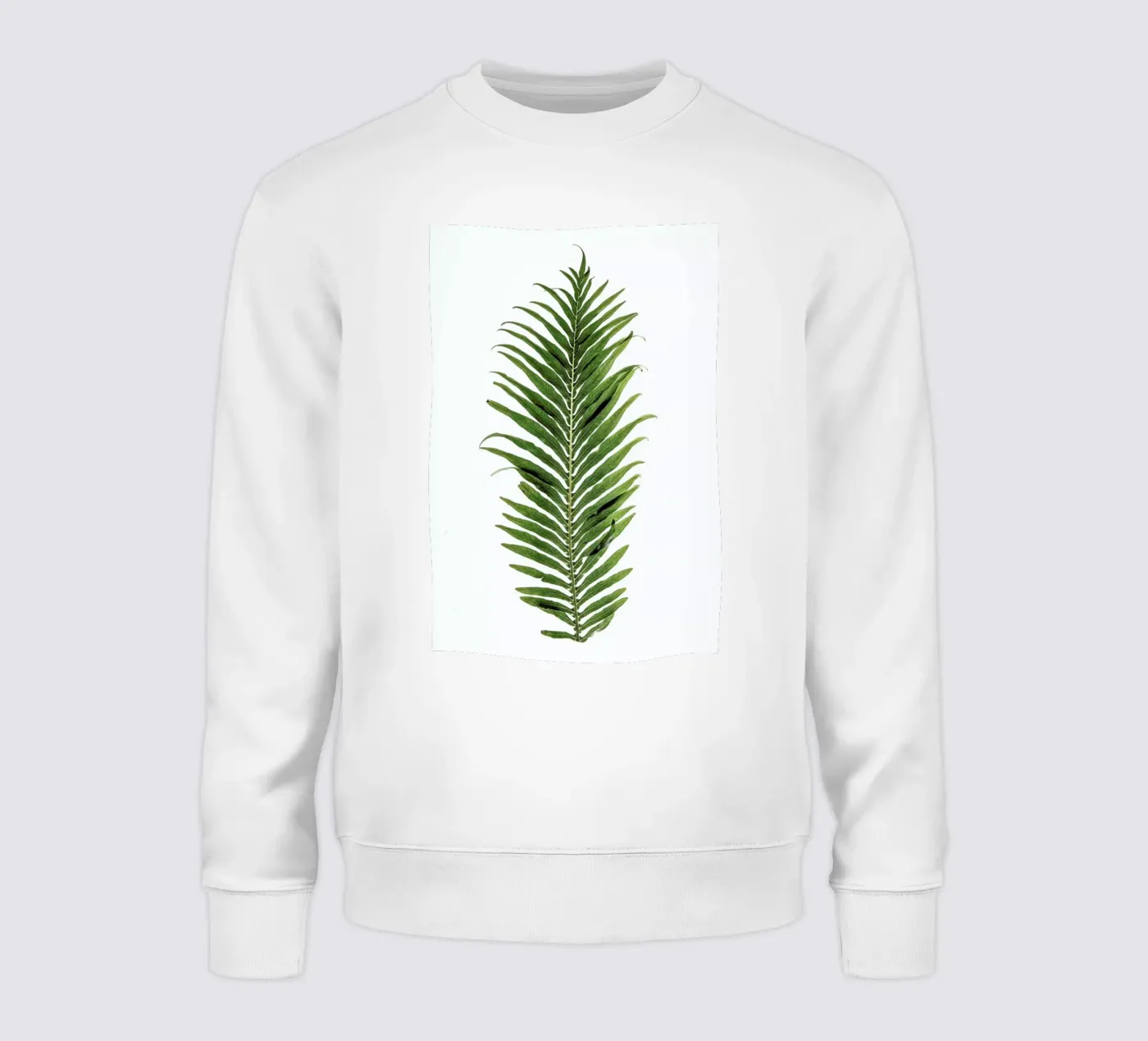 Leaf Study 1 sweat de Shot By Clint