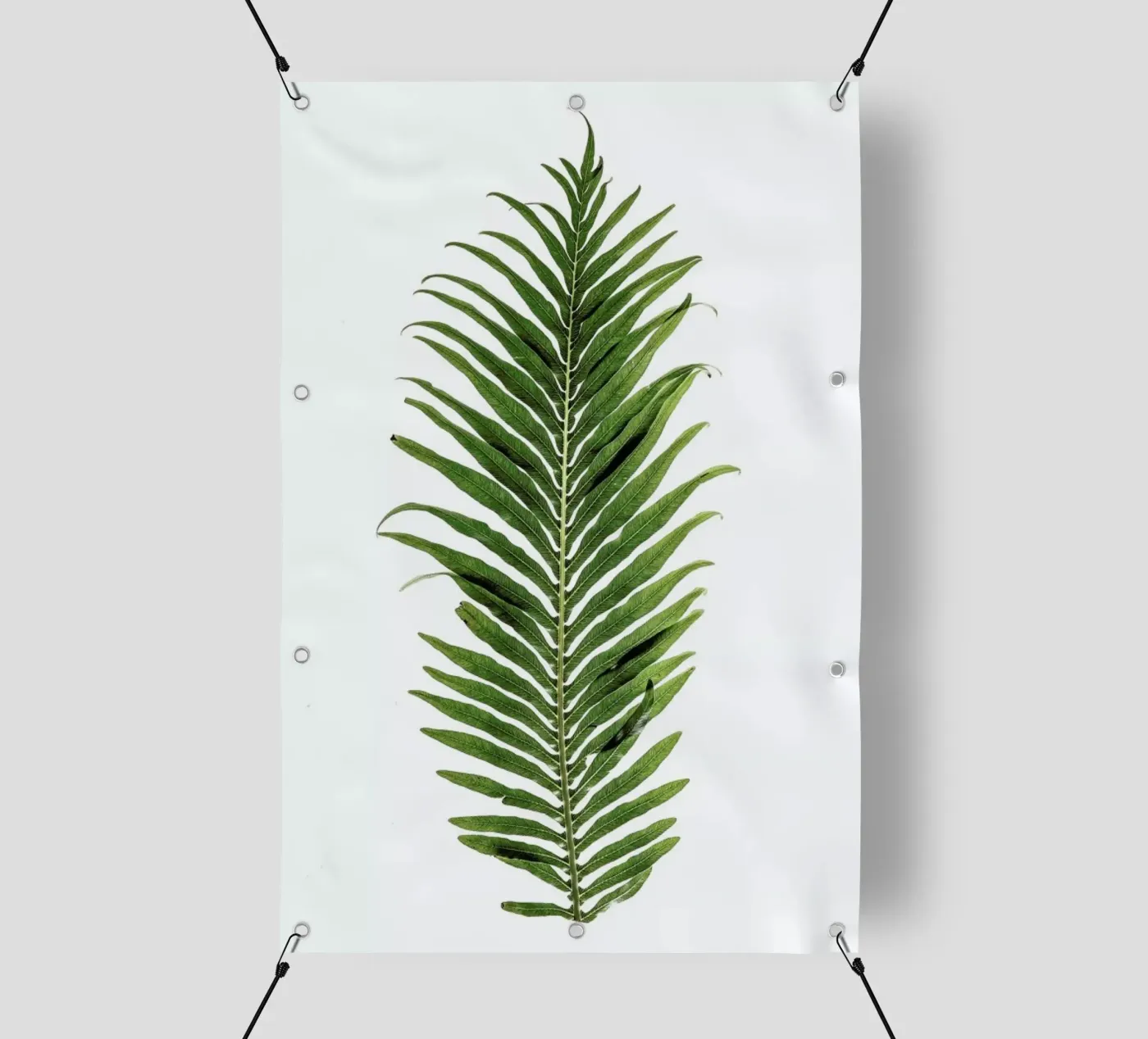Leaf Study 1 telo in pvc da Shot By Clint