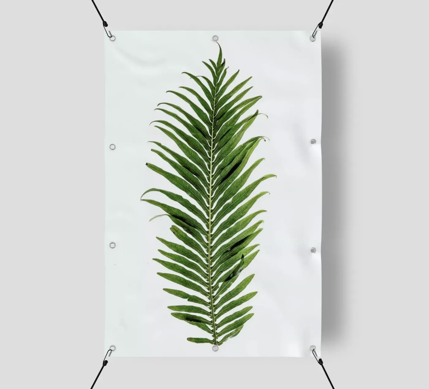 Leaf Study 1 telo in pvc da Shot By Clint