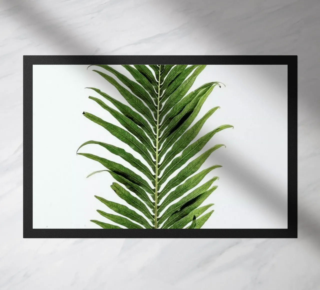 Leaf Study 1 zerbino da Shot By Clint