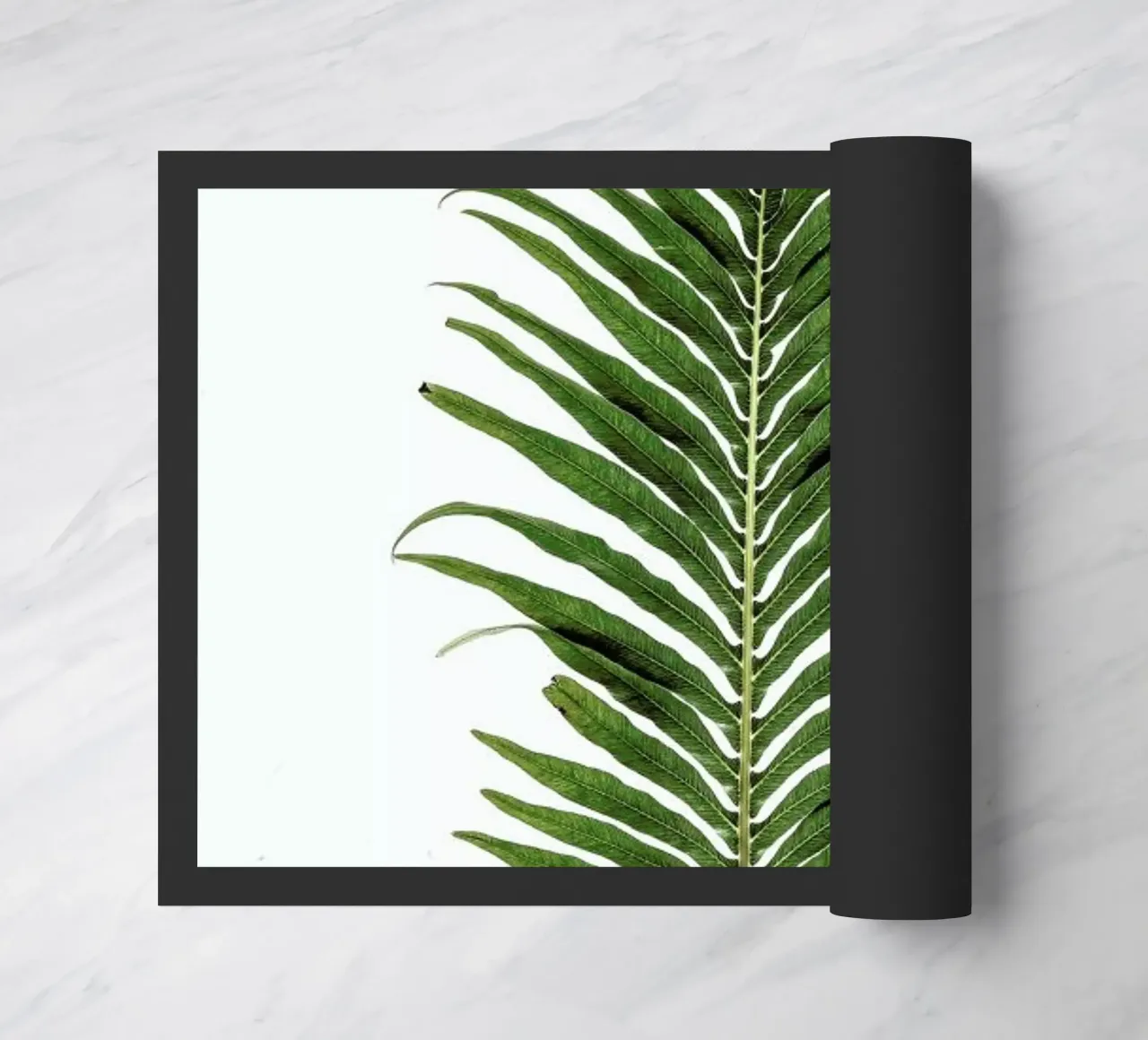 Leaf Study 1 zerbino da Shot By Clint