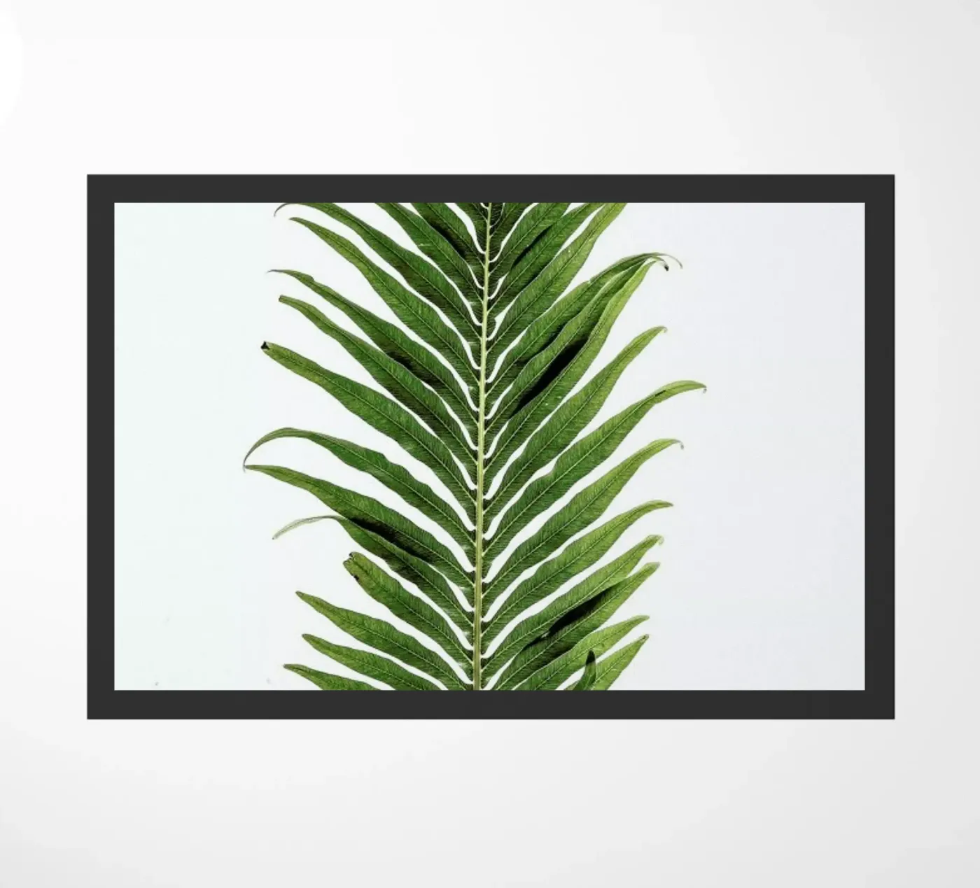 Leaf Study 1 doormat by Shot By Clint