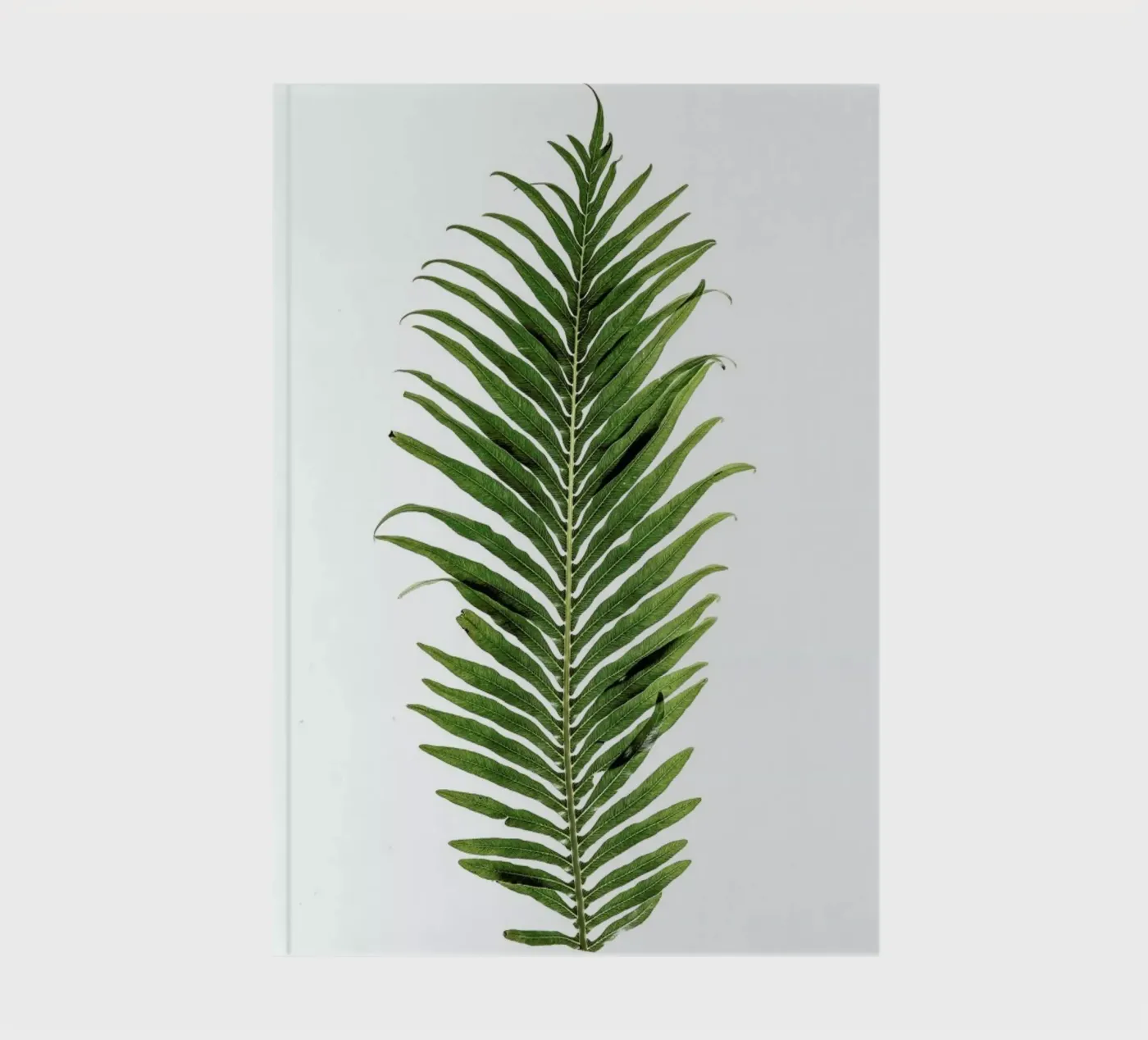 Leaf Study 1 notebook by Shot By Clint