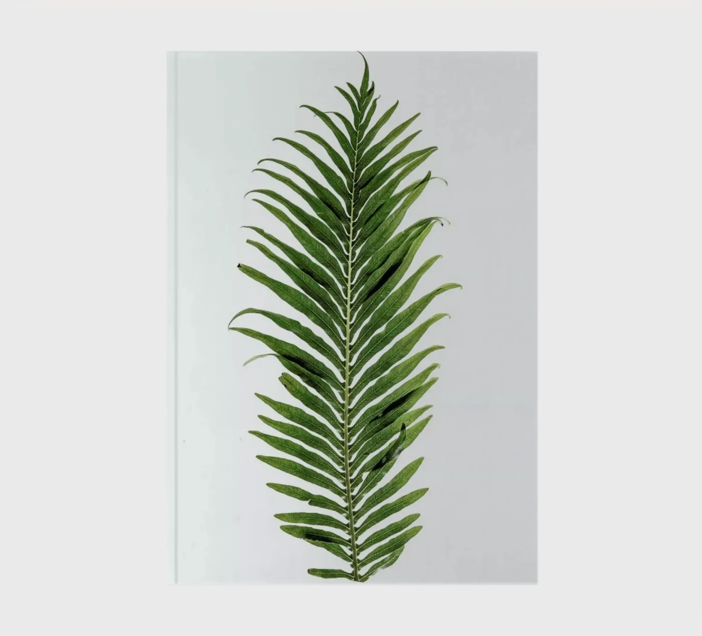 Leaf Study 1 notebook by Shot By Clint