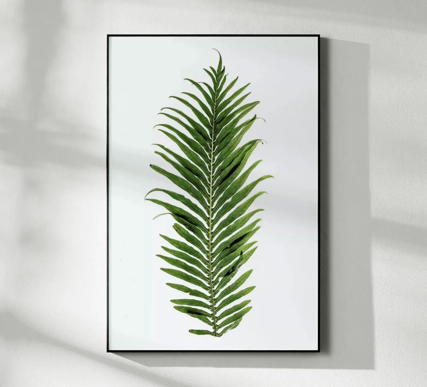 Leaf Study 1 plexiglass da Shot By Clint