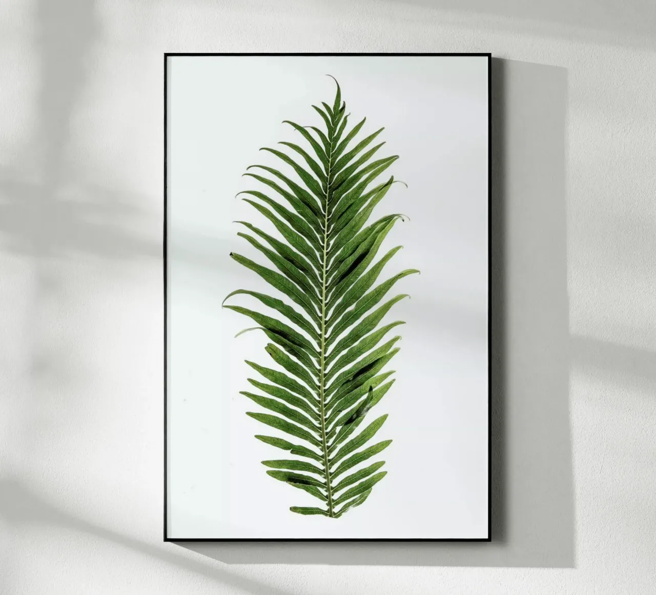 Leaf Study 1 plexiglass da Shot By Clint