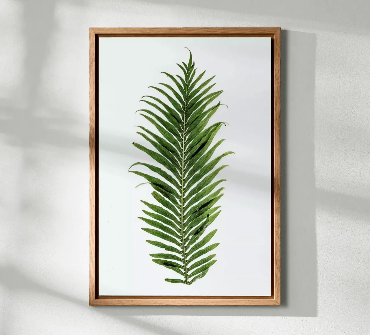 Leaf Study 1 alluminio dibond da Shot By Clint