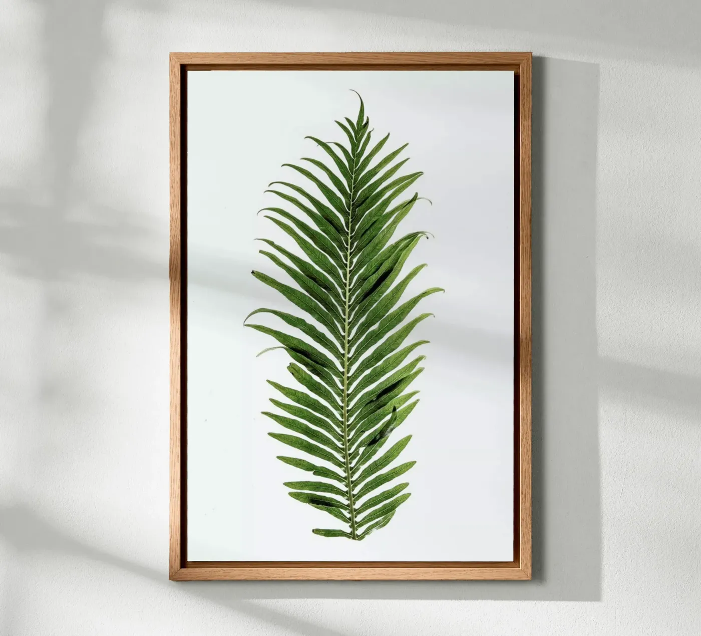 Leaf Study 1 alluminio dibond da Shot By Clint