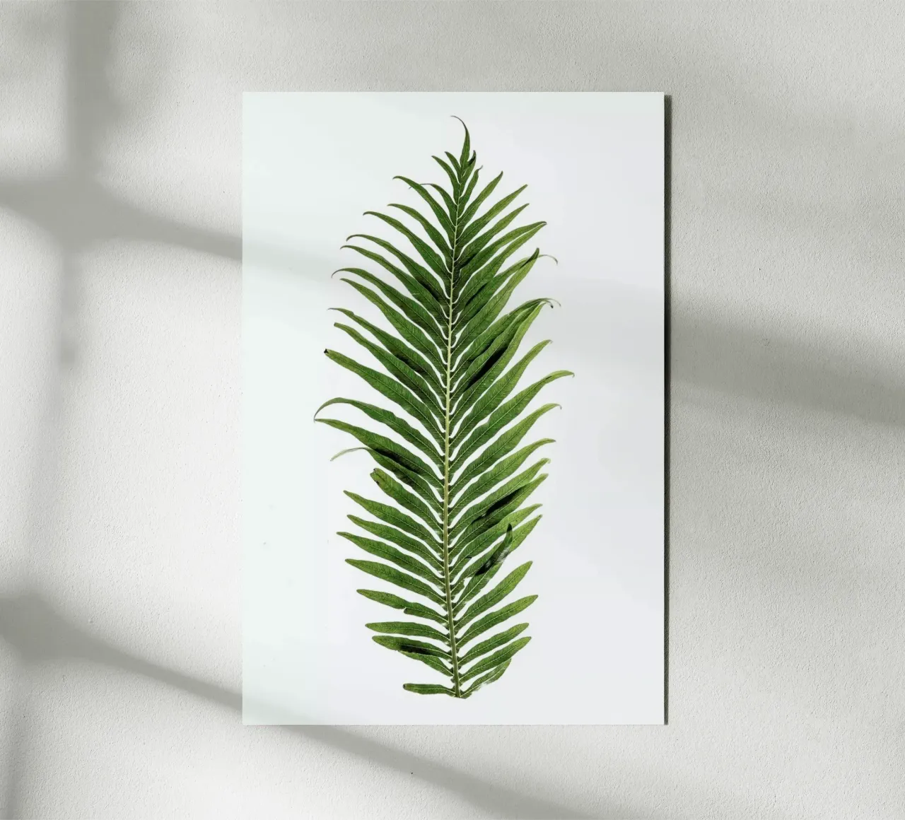 Leaf Study 1 alluminio dibond da Shot By Clint