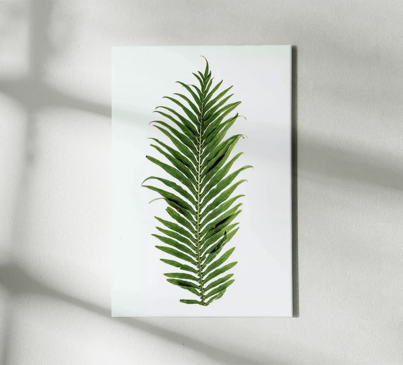 Leaf Study 1 tela da Shot By Clint