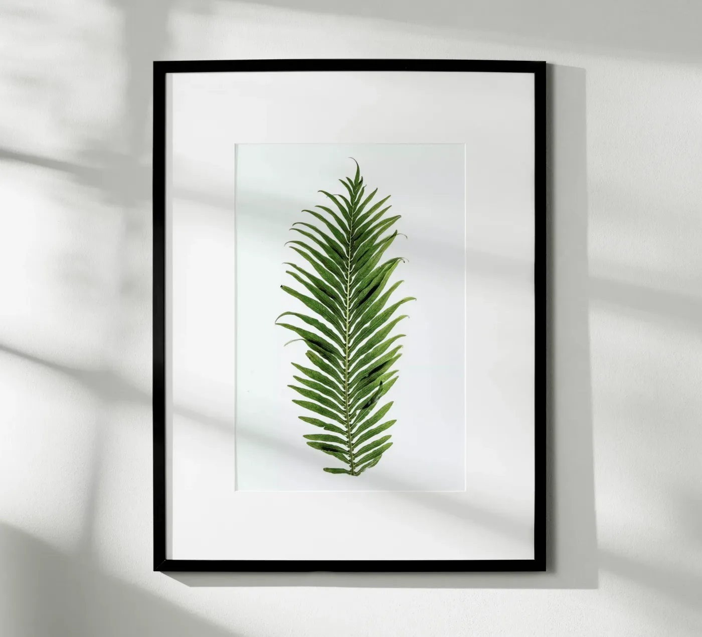 Leaf Study 1 poster da Shot By Clint