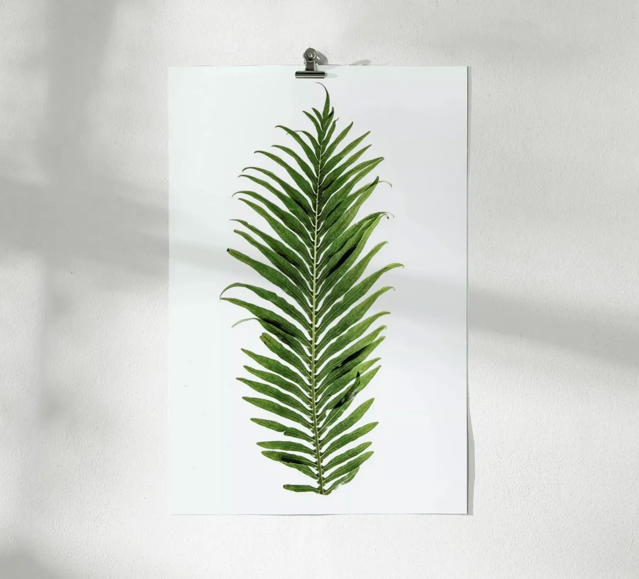 Leaf Study 1 poster by Shot By Clint