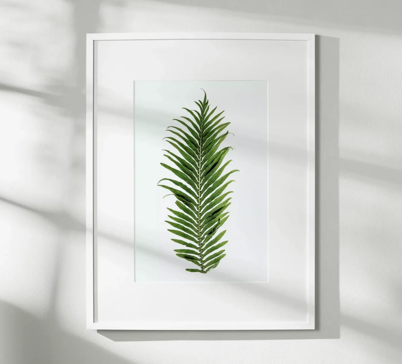 Leaf Study 1 poster da Shot By Clint