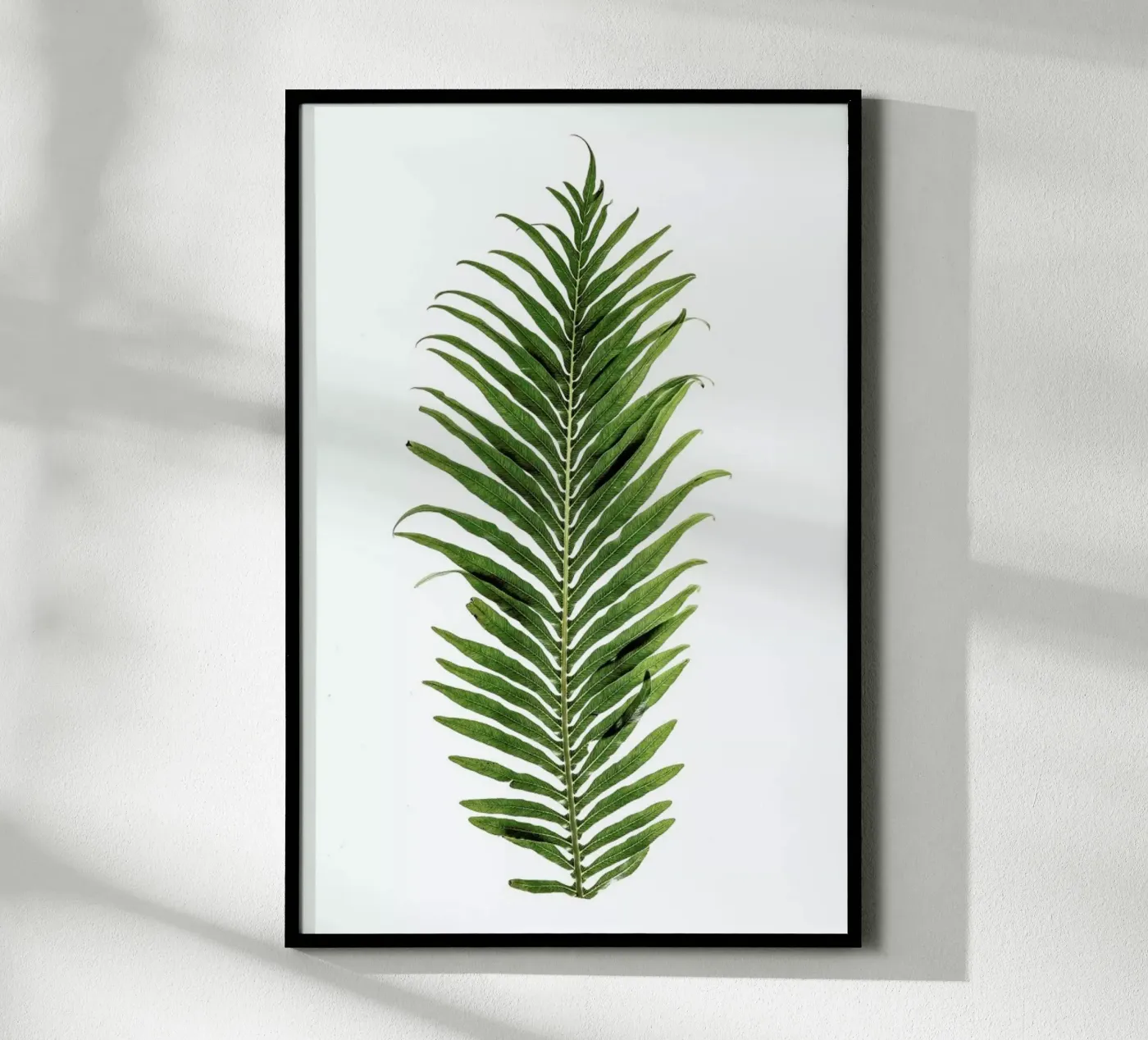 Leaf Study 1 poster by Shot By Clint