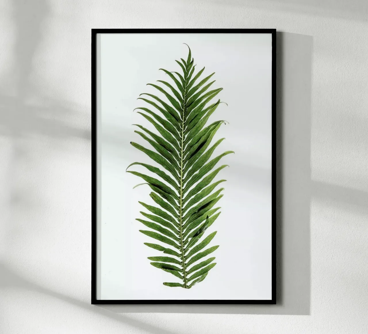 Leaf Study 1 poster by Shot By Clint