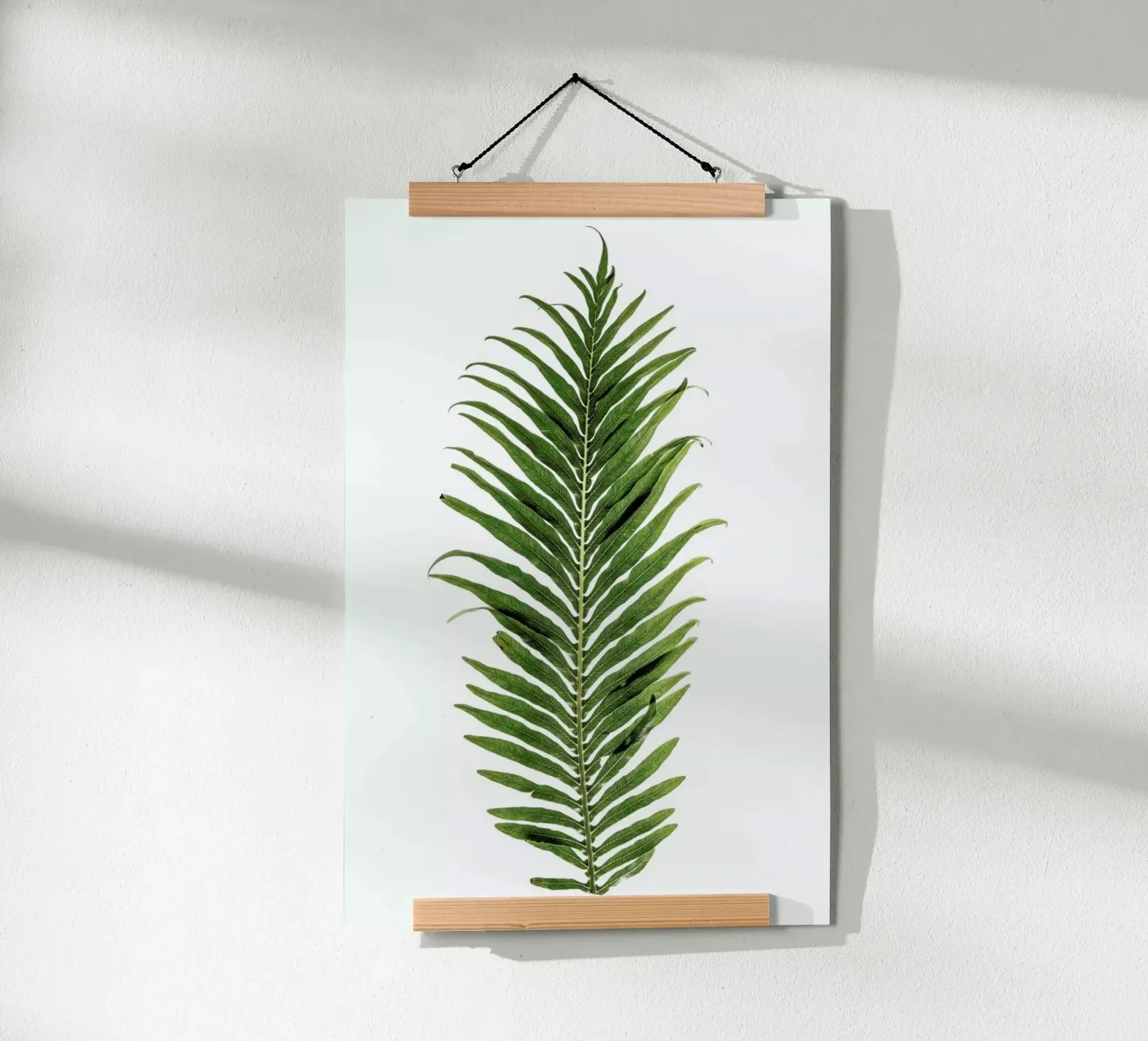 Leaf Study 1 poster da Shot By Clint