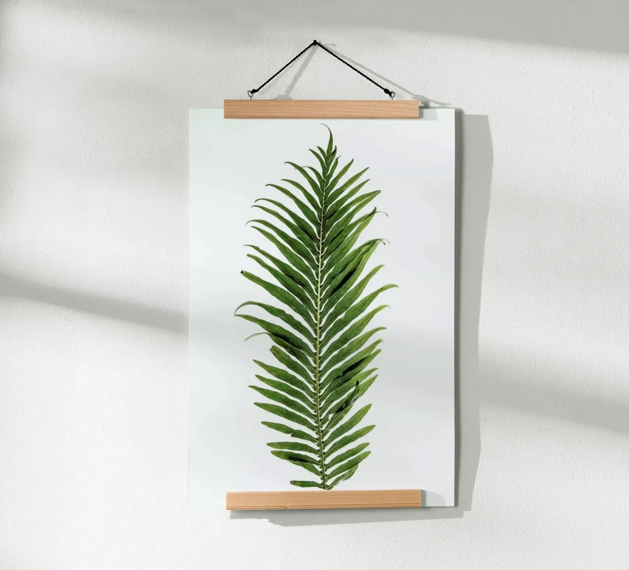 Leaf Study 1 poster by Shot By Clint