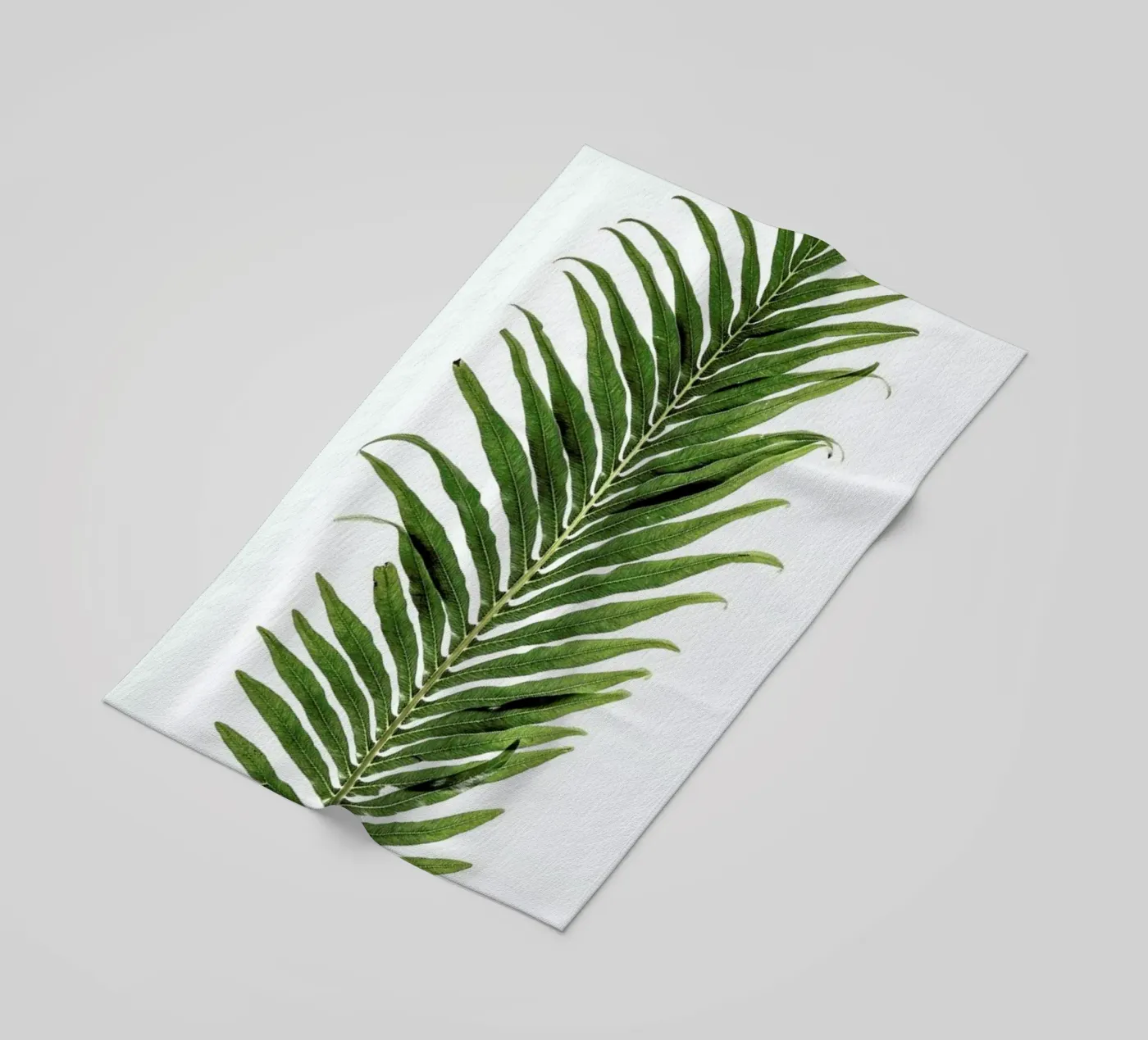 Leaf Study 1 telo mare da Shot By Clint