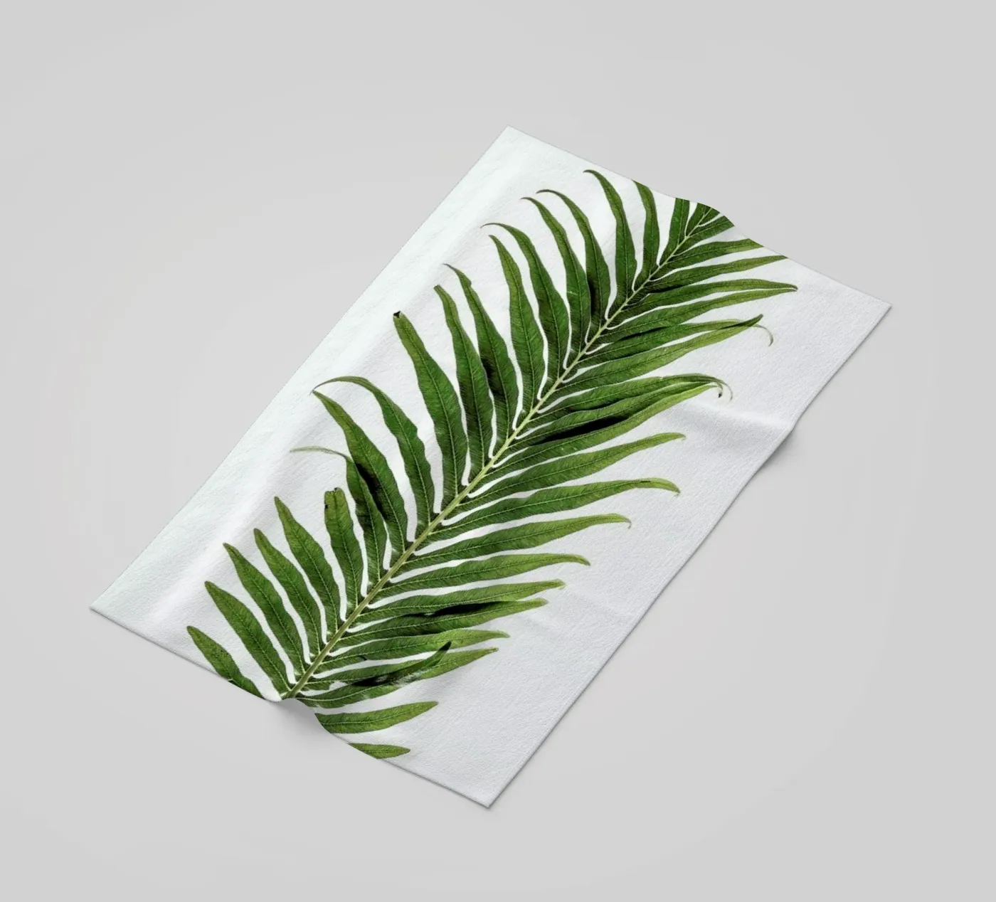 Leaf Study 1 beach towel by Shot By Clint