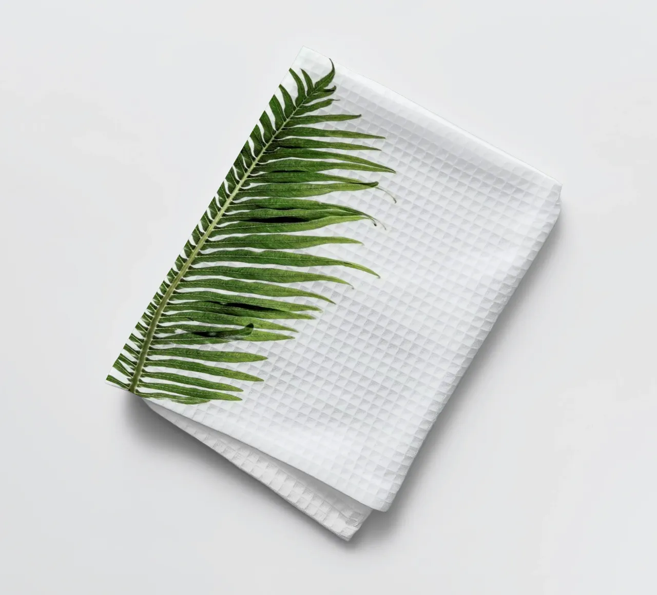 Leaf Study 1 Geschirrtuch von Shot By Clint