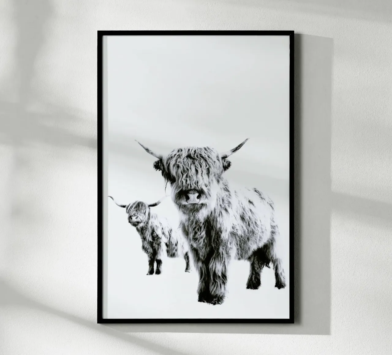 Vacche delle Highlands poster con telaio in plastica da Monika Strigel