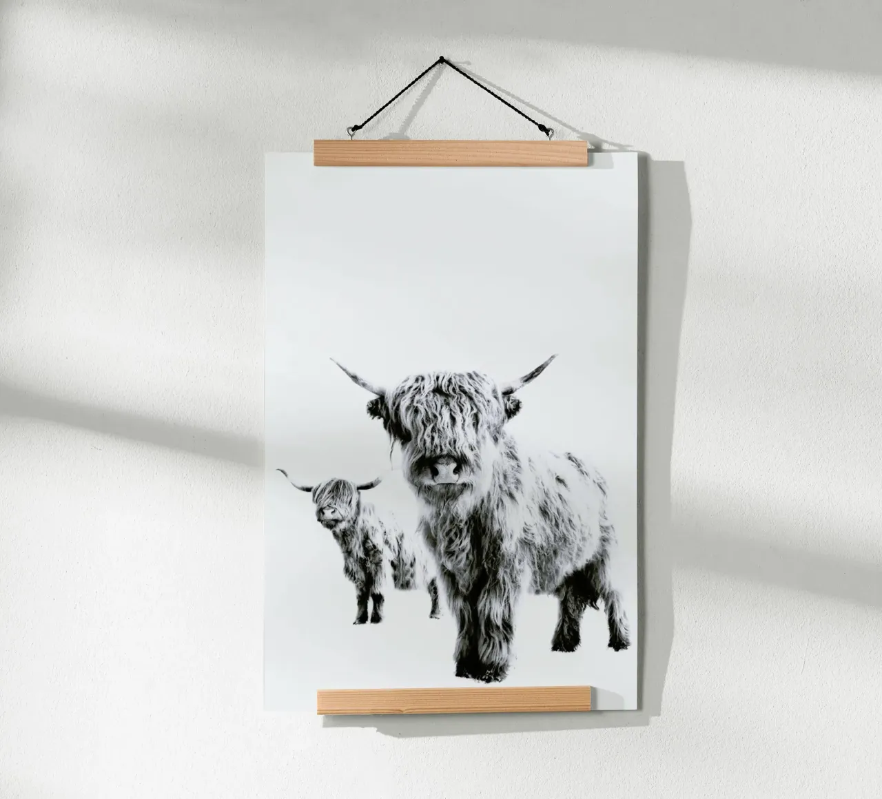 Vacche delle Highlands poster con telaio in plastica da Monika Strigel