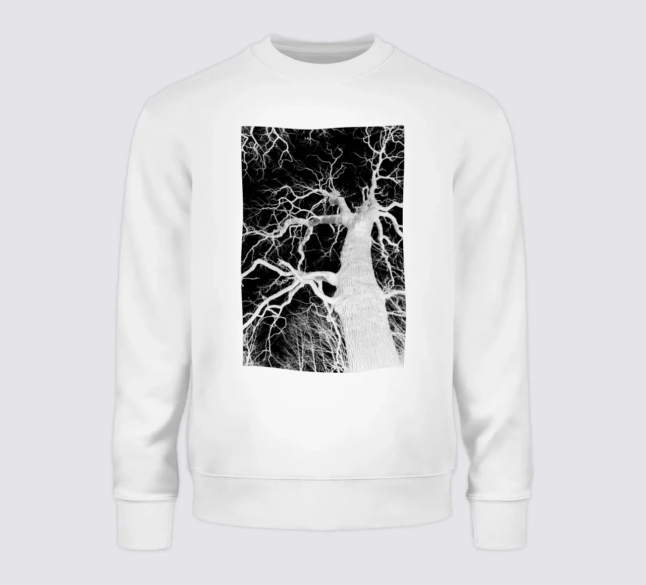 Oak Tree 1 felpa da Shot By Clint