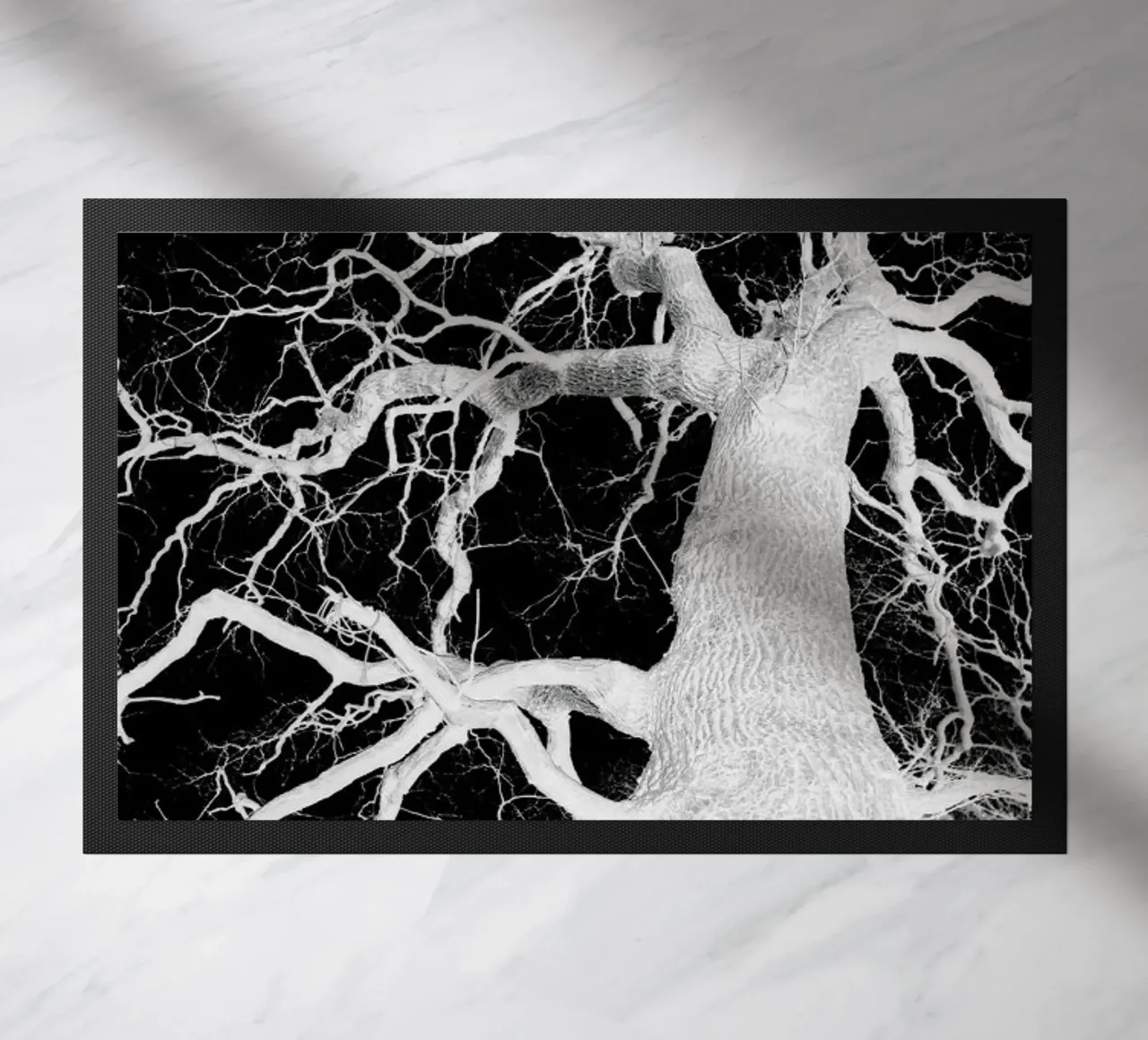 Oak Tree 1 zerbino da Shot By Clint