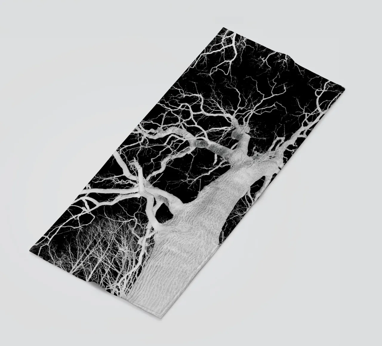 Oak Tree 1 telo mare da Shot By Clint