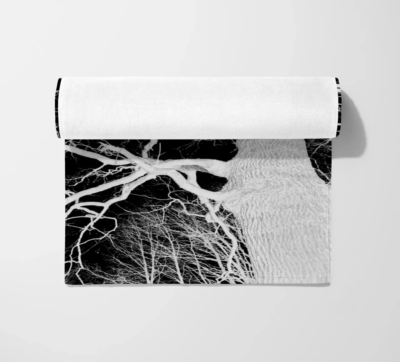 Oak Tree 1 telo mare da Shot By Clint