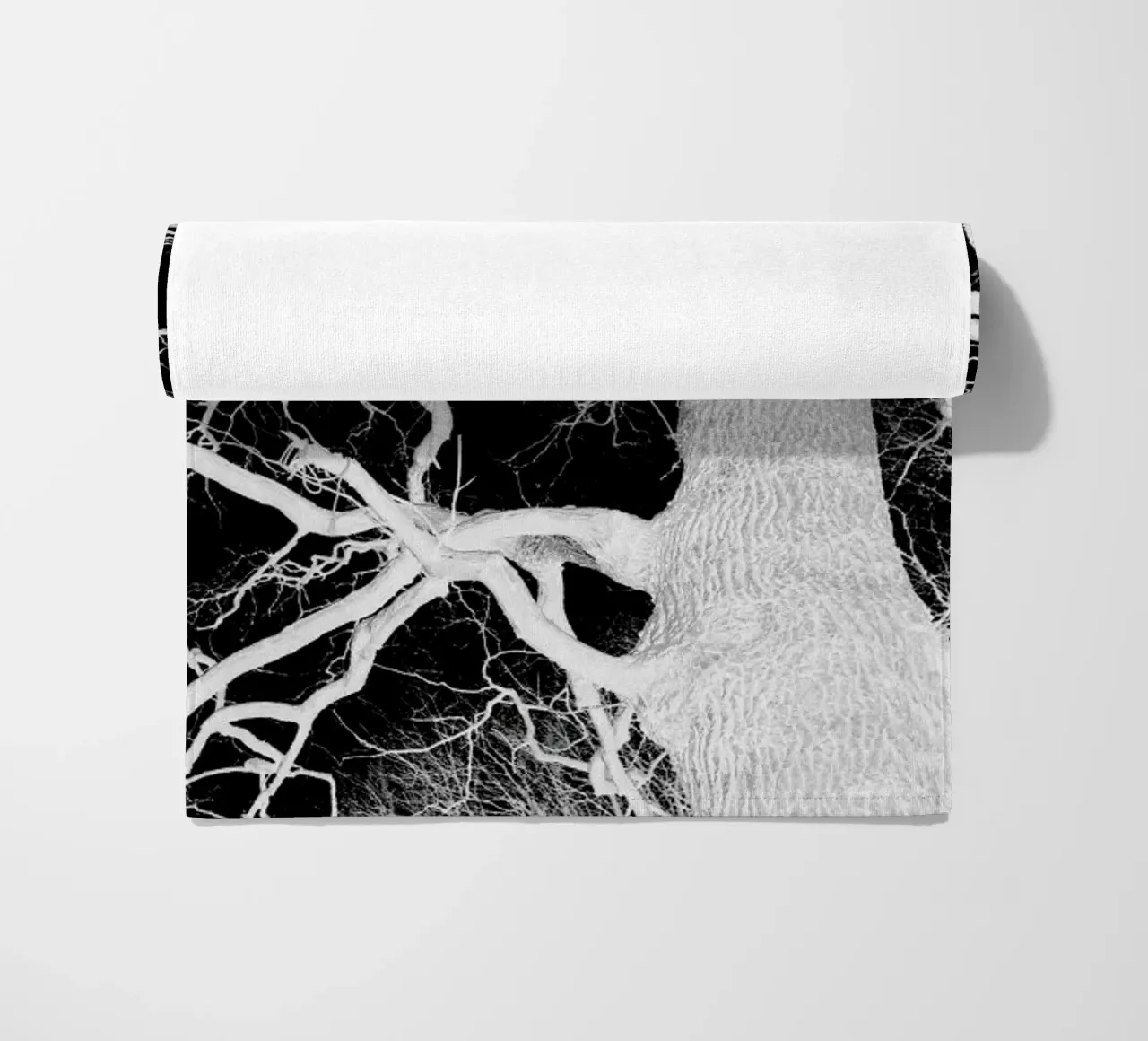 Oak Tree 1 telo mare da Shot By Clint