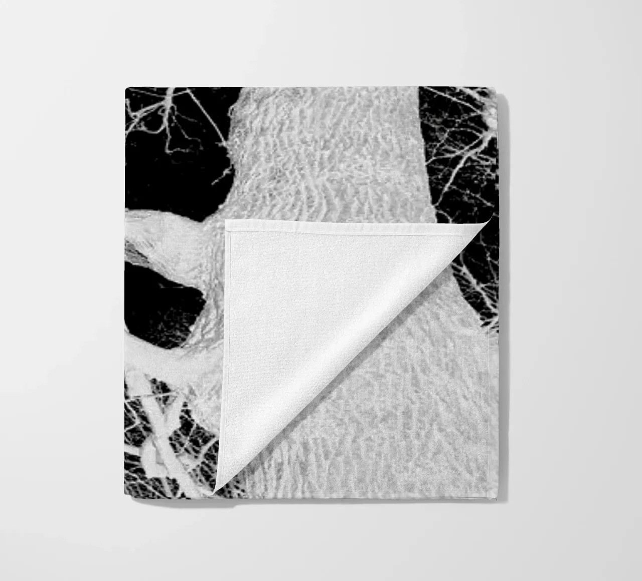 Oak Tree 1 telo mare da Shot By Clint