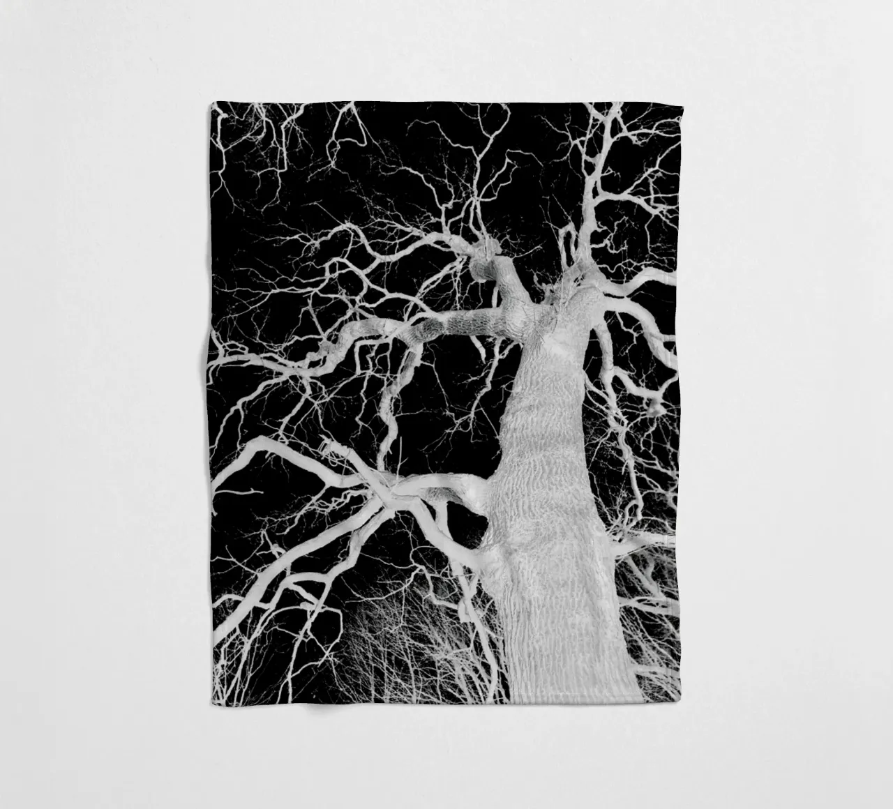 Oak Tree 1 coperta in pile da Shot By Clint