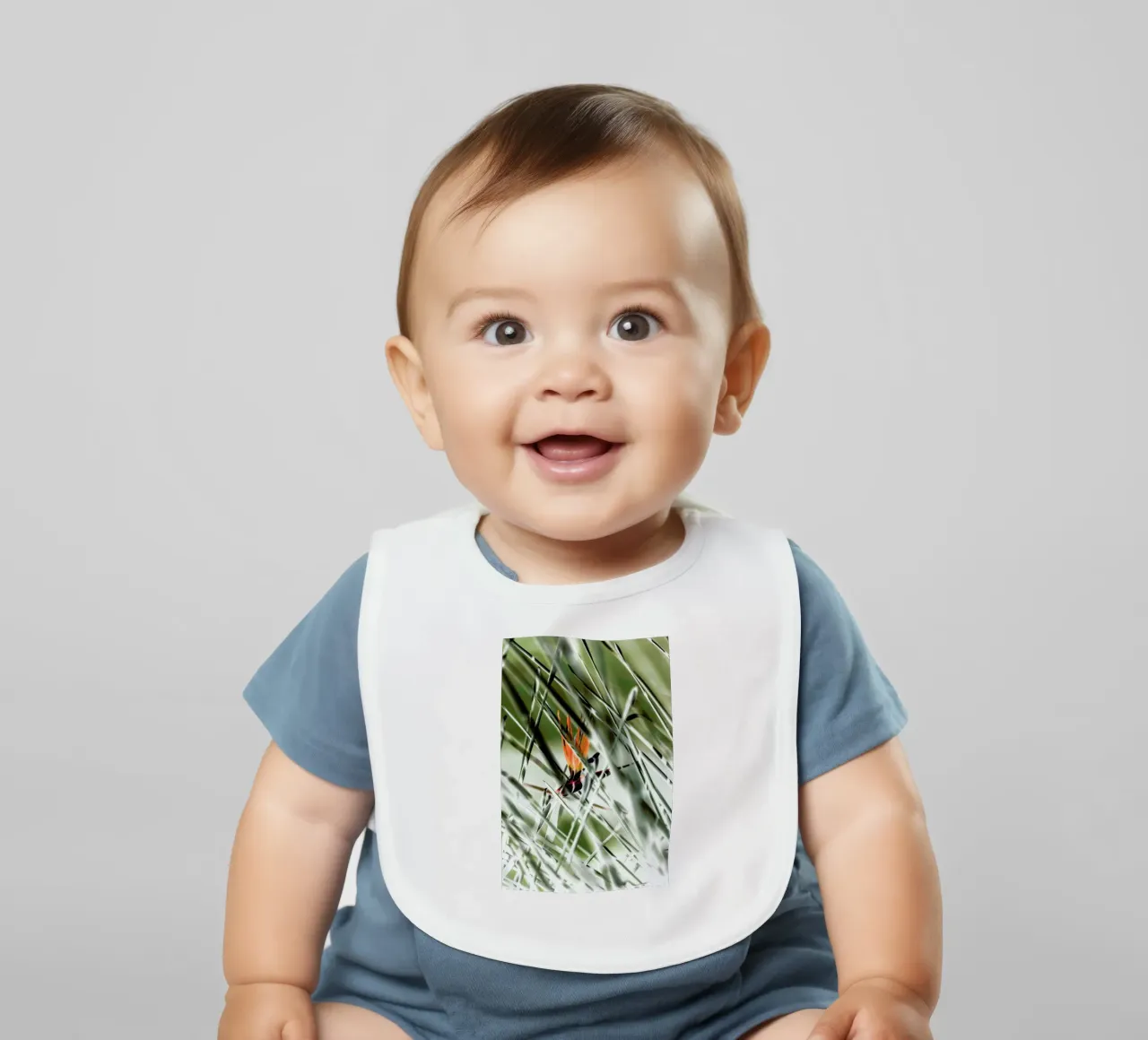 Strelitzia bavaglino da Shot By Clint