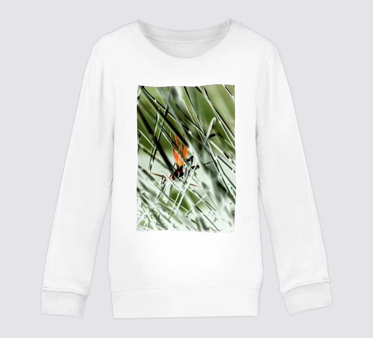 Strelitzia felpa bambino da Shot By Clint