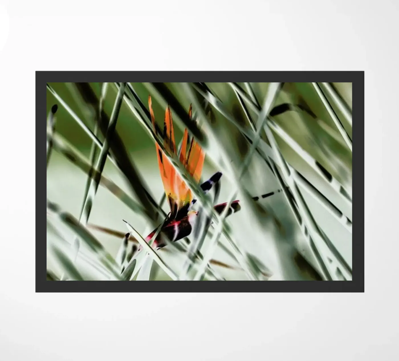 Strelitzia doormat by Shot By Clint