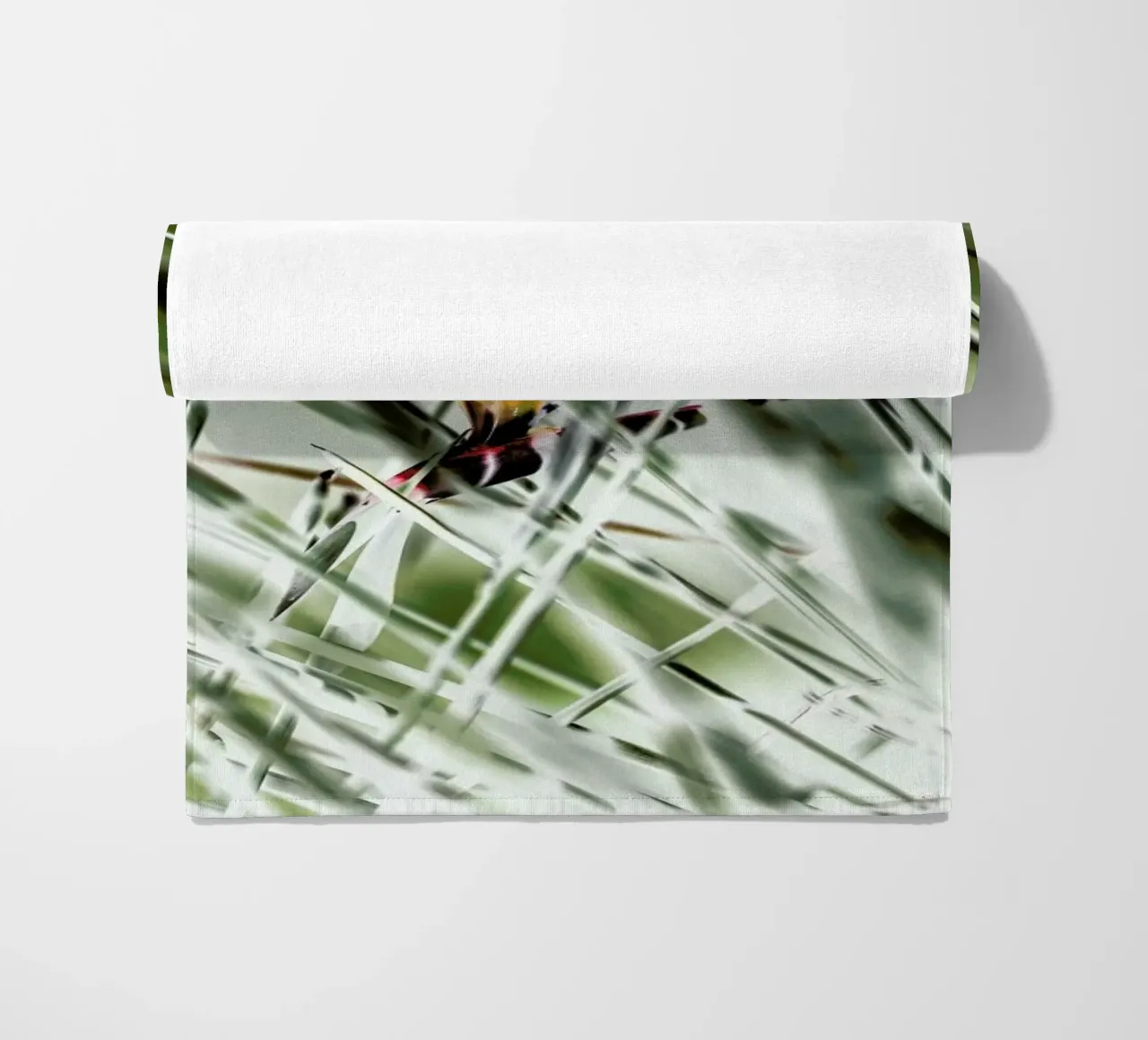 Strelitzia telo mare da Shot By Clint