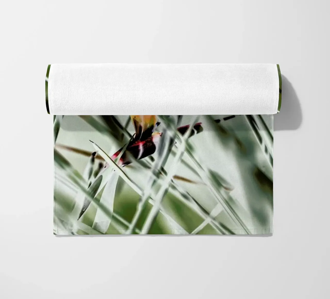 Strelitzia telo mare da Shot By Clint