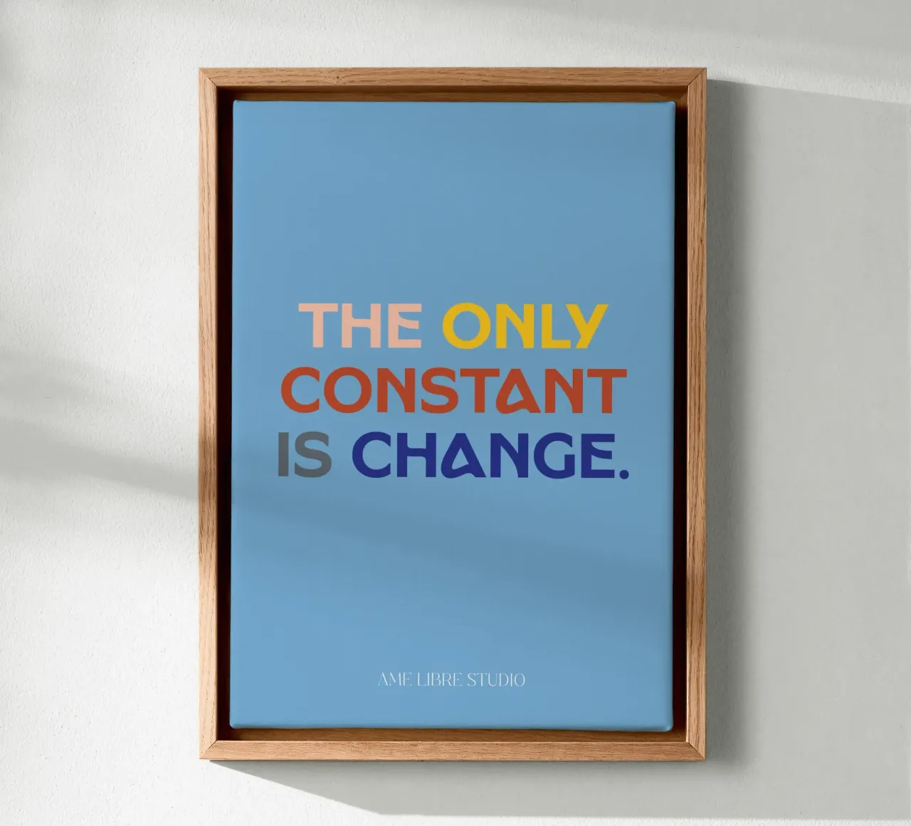 🐬 tela da ÂME LIBRE STUDIO