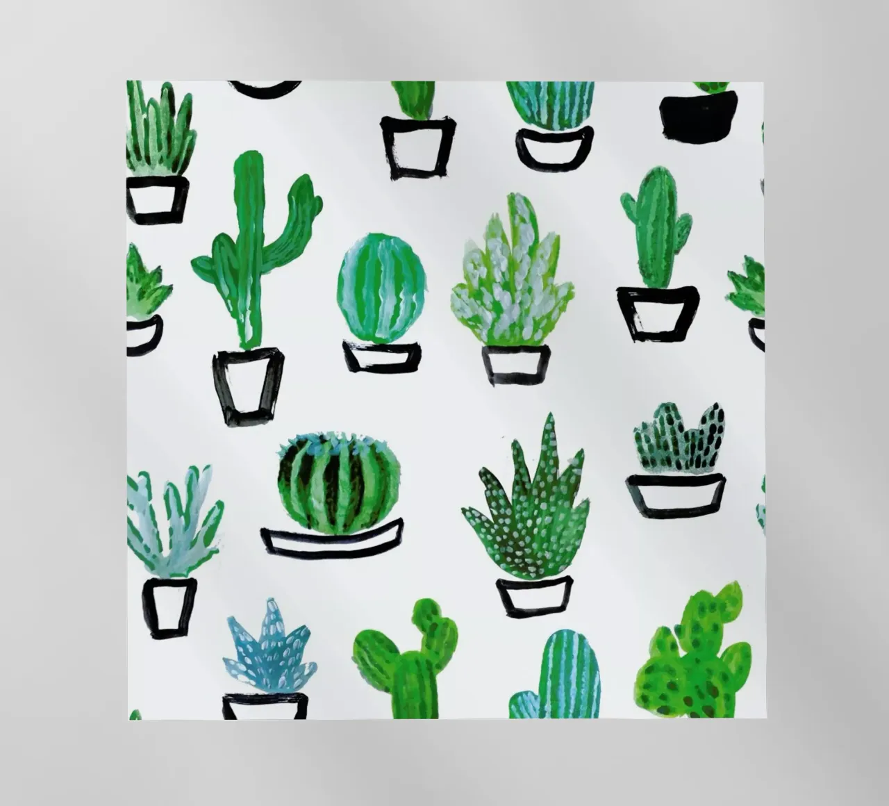 Cacti pellicola backlit da Farina Kuklinski