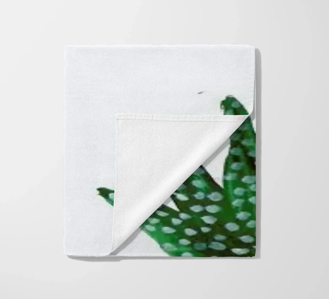 Cacti telo mare da Farina Kuklinski