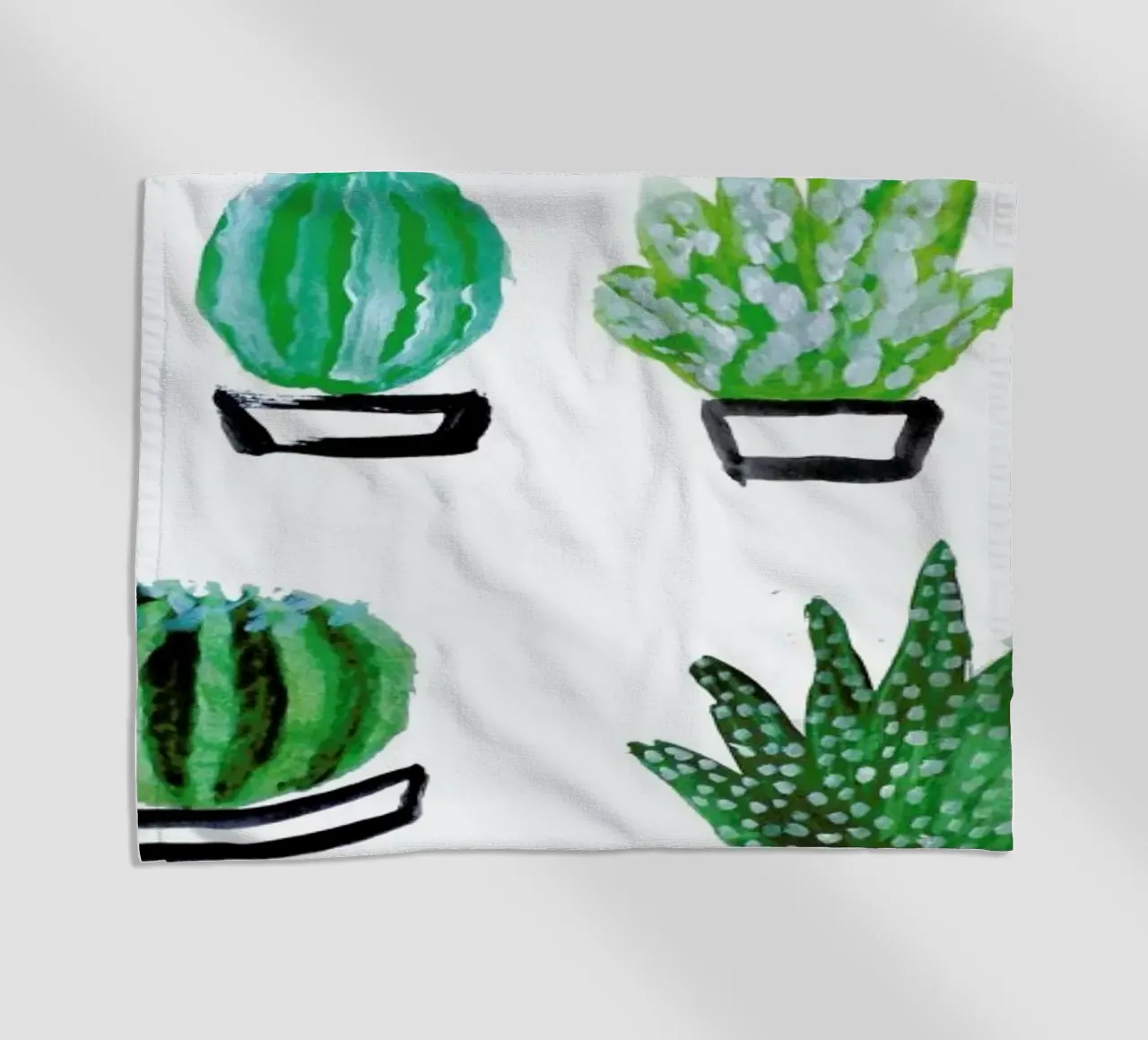 Cacti telo mare da Farina Kuklinski