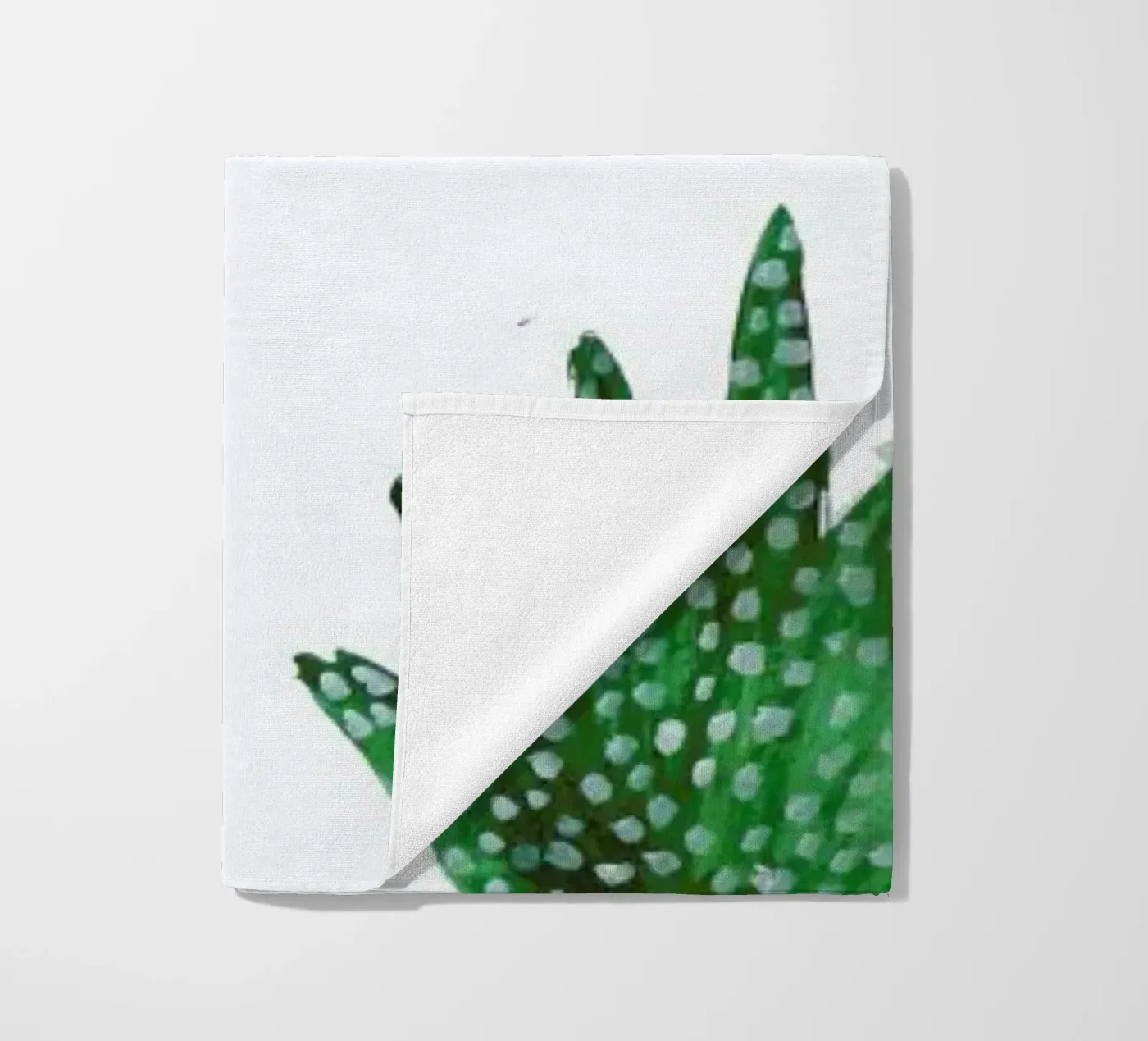 Cacti telo mare da Farina Kuklinski