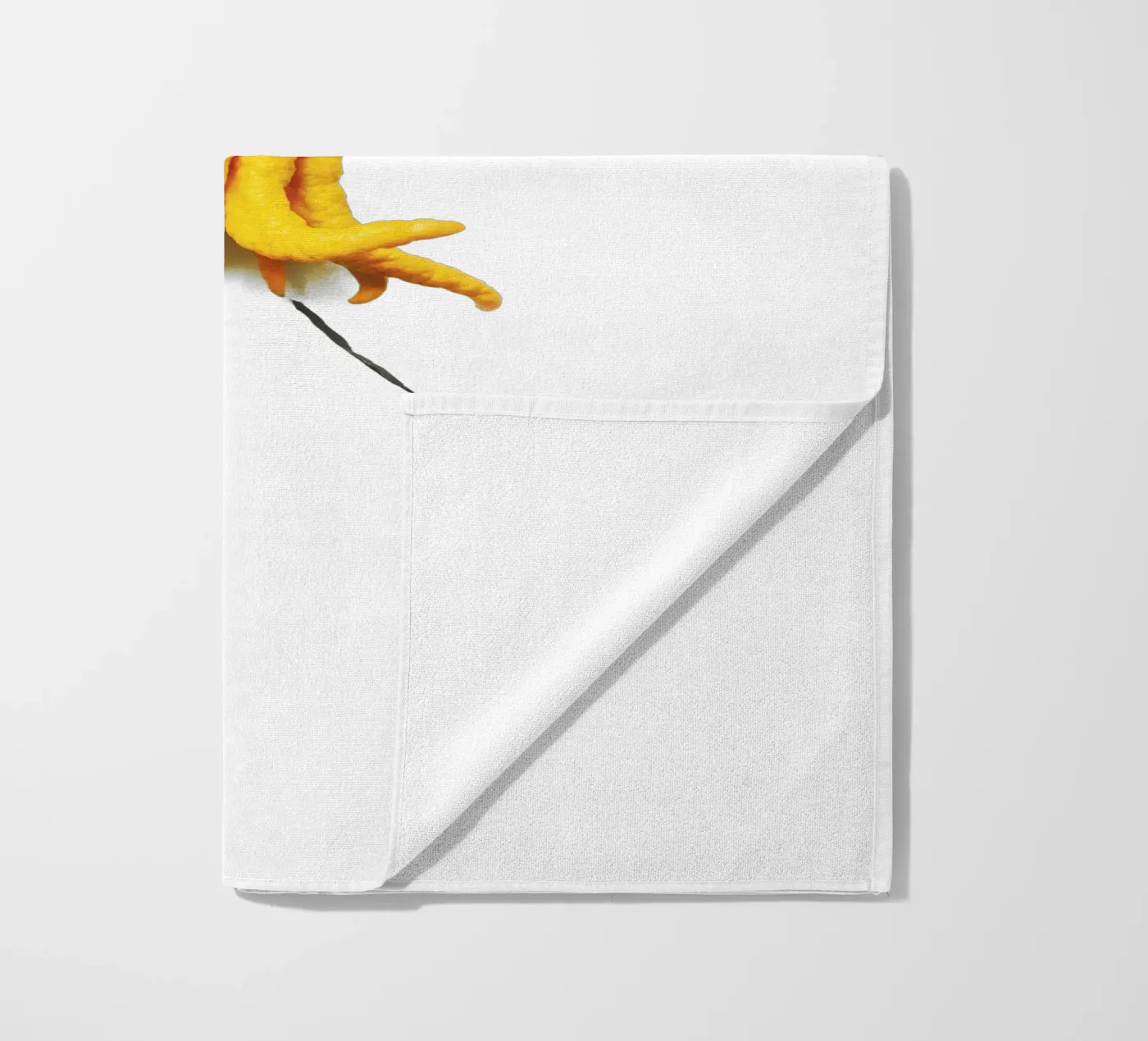 Citrus telo mare da Gretchen Roehrs